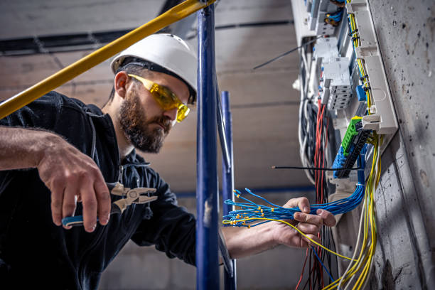 Best Affordable Electrician  in Mount Morris, IL