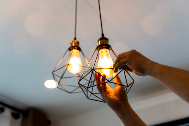 Best Best Electricians Near Me  in Mount Morris, IL