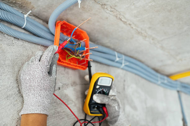 Best Circuit Breaker Repair  in Mount Morris, IL