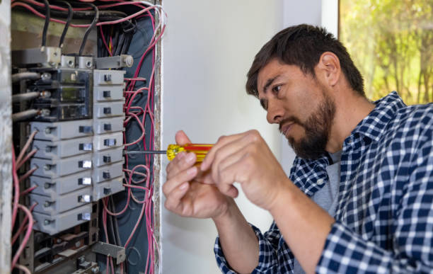 Best Best Electricians Near Me  in Mount Morris, IL